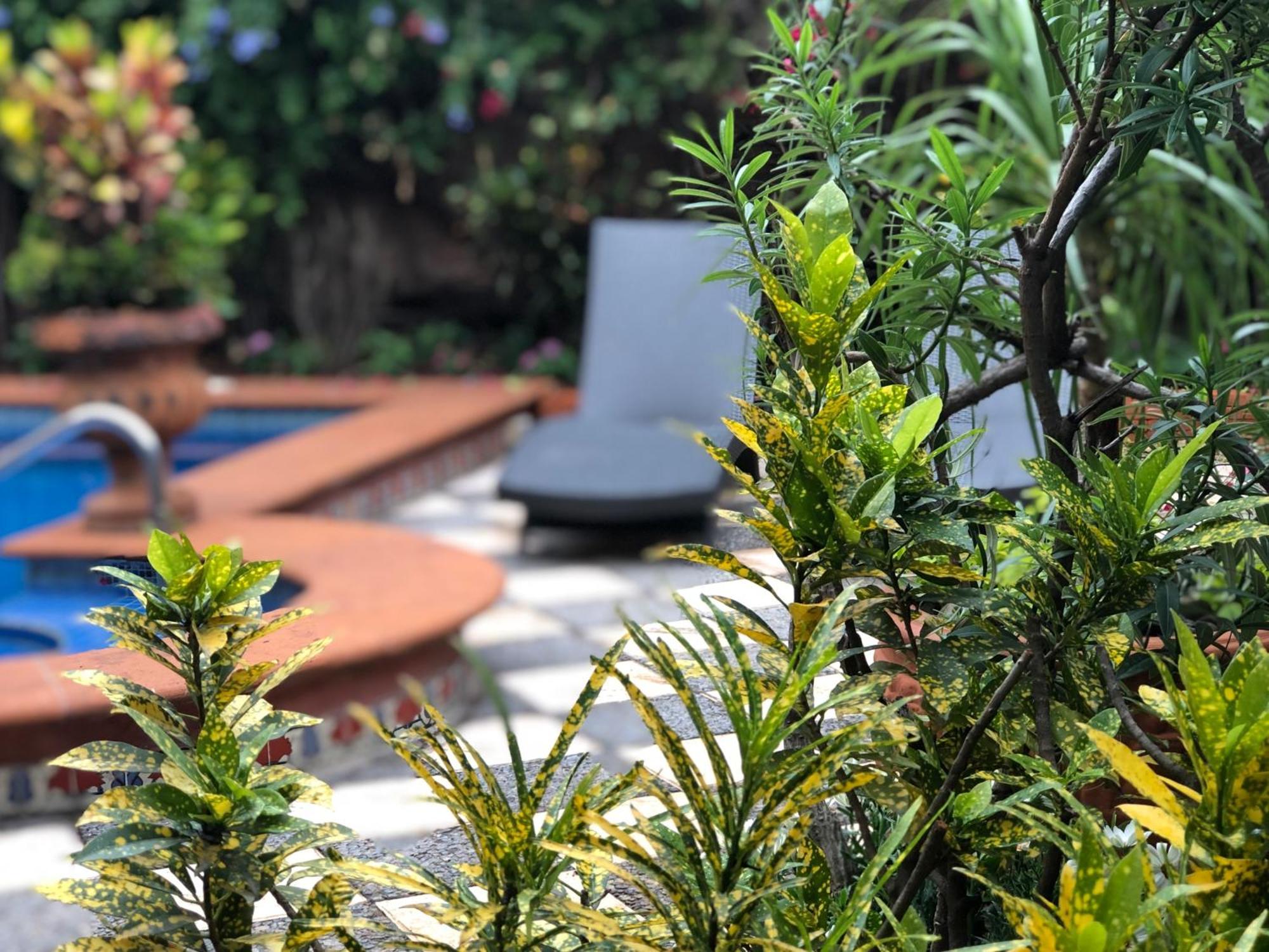 Casa Del Sol Inn Ajijic Zewnętrze zdjęcie
